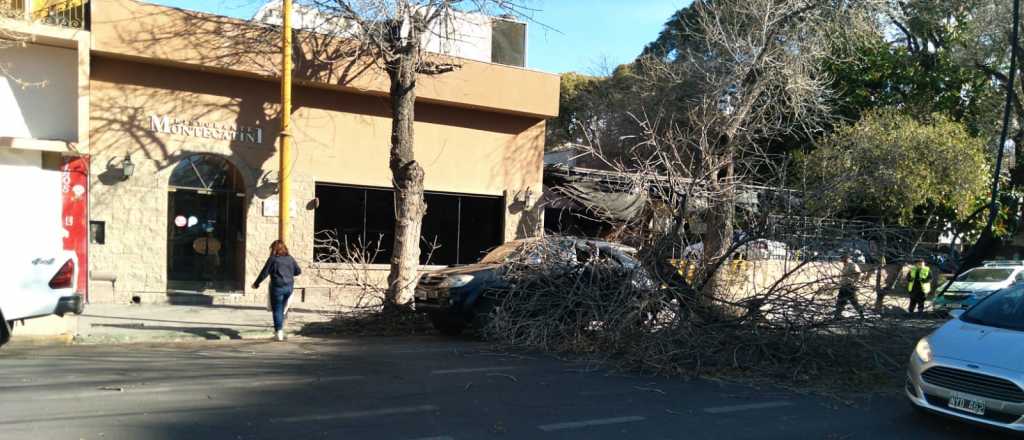 Videos y fotos: los tremendos daños que produjo el viento Zonda 