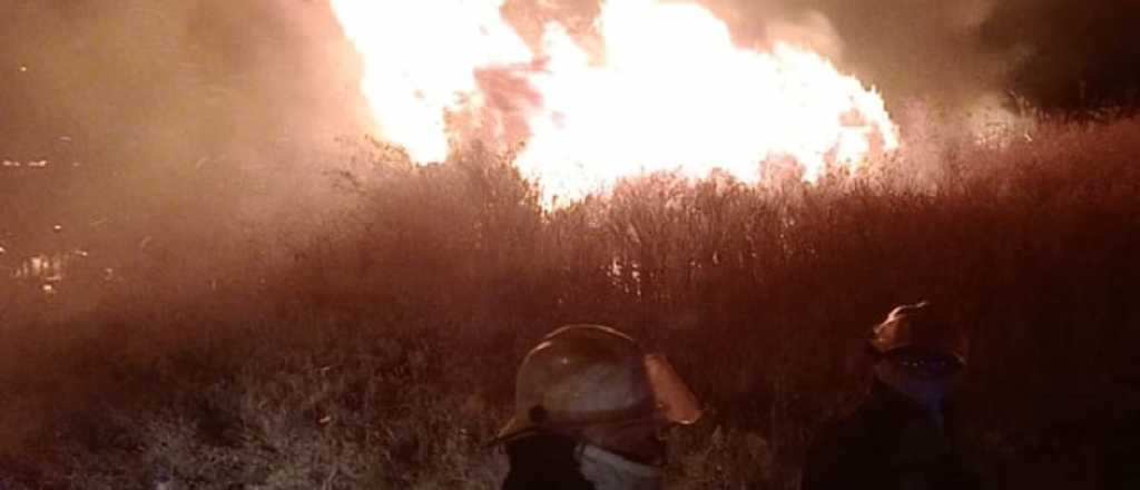 Videos y fotos: incendio en un campo de Guaymall&eacute;n 