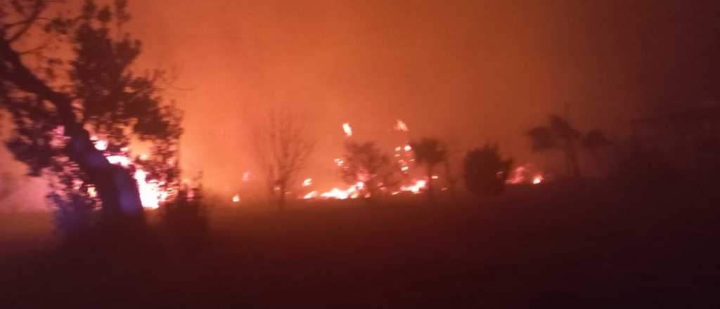 Se quemaron 6 caballos de carrera en un incendio en Tupungato