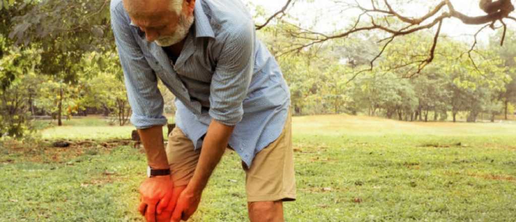El alimento clave para regenerar los cart&iacute;lagos de las rodillas