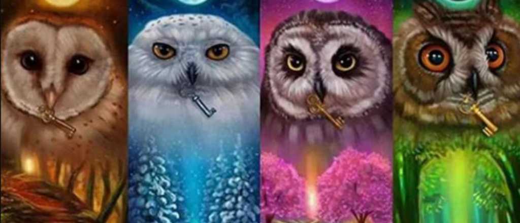 Test de personalidad: eleg&iacute; un b&uacute;ho y descubr&iacute; que clase de persona sos