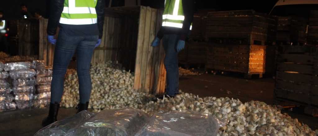 Incautaron en Los Corralitos 200 toneladas de ajo, flojas de papeles