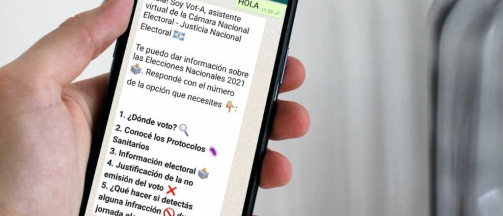 Lanzan un chatbot en WhatsApp para responder dudas sobre las elecciones