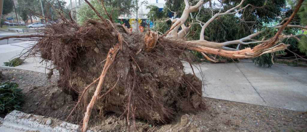 Videos: impresionante temporal causó destrozos en Comodoro Rivadavia