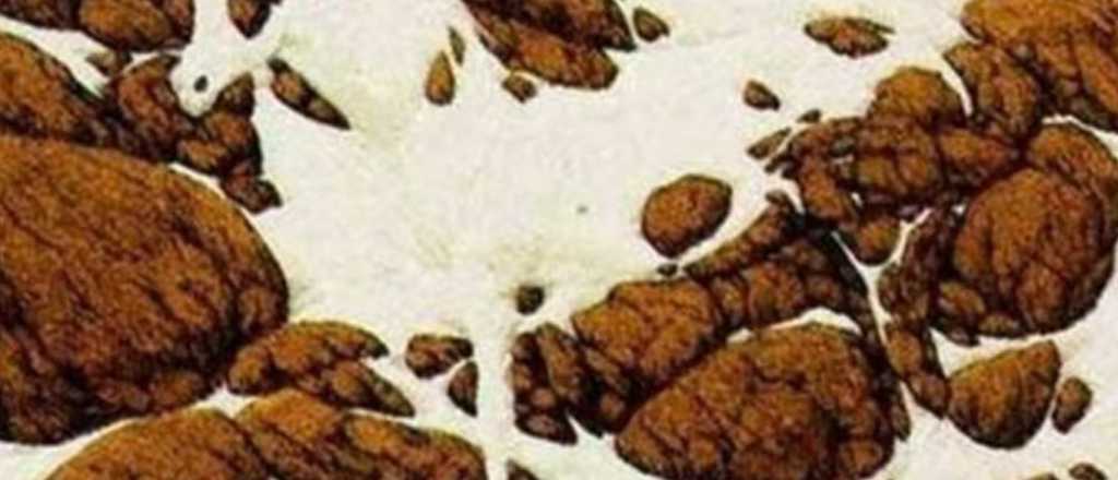 Acertijo visual: &iquest;puedes encontrar al caballo en 8 segundos?