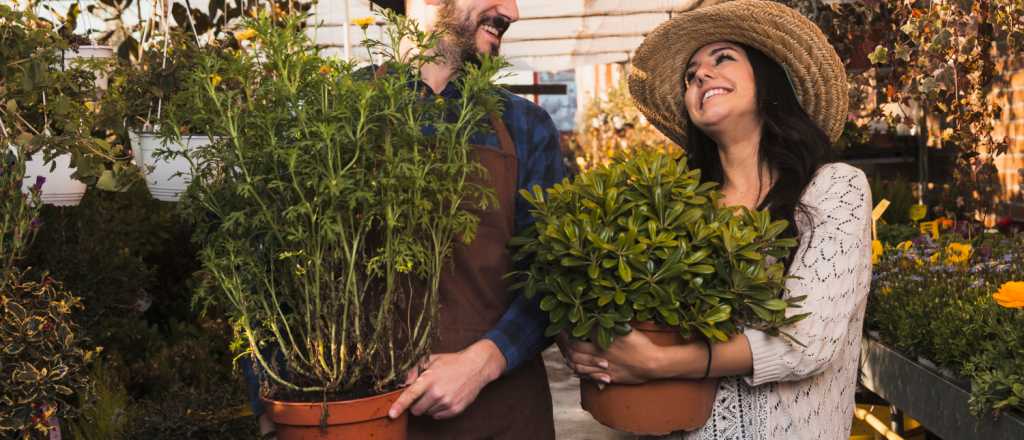 Jardiner&iacute;a en agosto, prepar&aacute;ndonos para la primavera