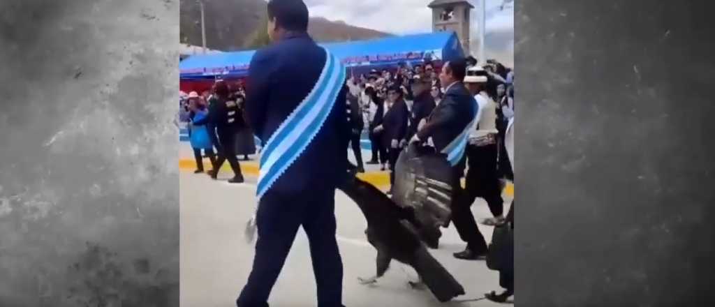 Video: alcalde peruano arrastró a un cóndor en una fiesta patria