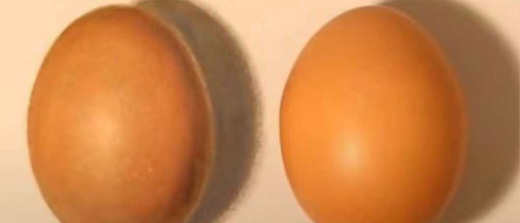 Prueba visual: ¿cuál de los dos es el huevo real?
