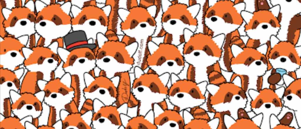 Acertijo visual: ¿Podés encontrar a los tres zorros entre los pandas rojos?