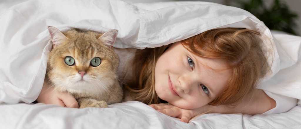 &iquest;Sab&eacute;s por qu&eacute; los gatos eligen a una persona?