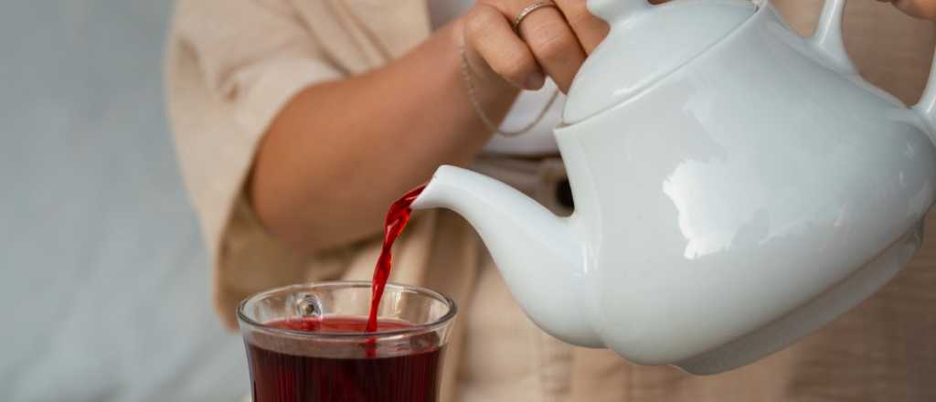 Las diferencias entre infusión, té y tisana