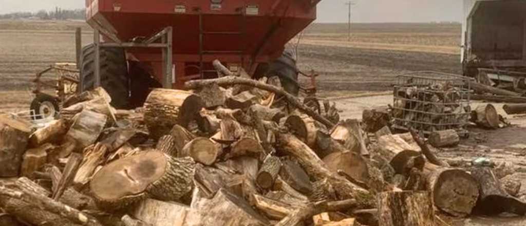 Prueba visual: &iquest;en qu&eacute; lugar de la imagen se oculta un gato?