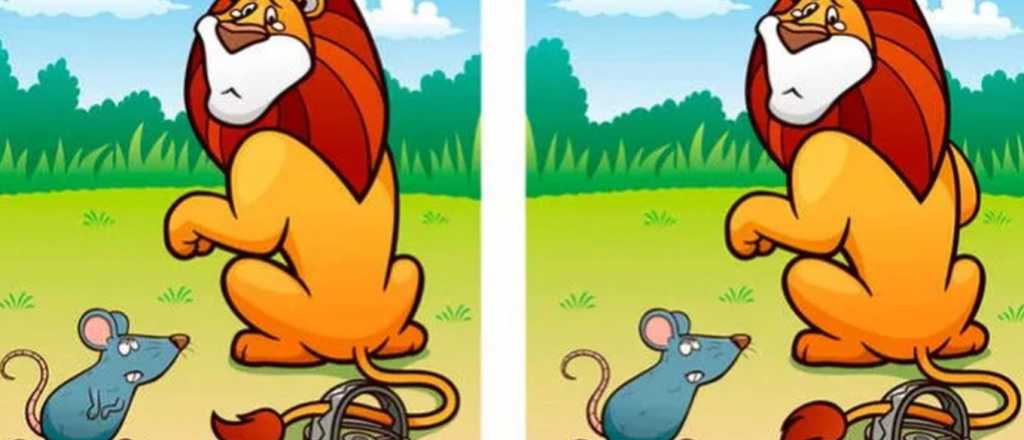 Prueba visual: ¿Cuáles son las 5 diferencias en la imagen del león?