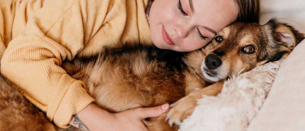 Vínculos inquebrantables: 6 motivos por los que tu perro duerme a tu lado
