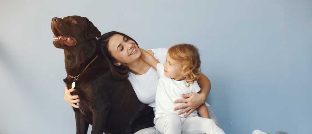 C&oacute;mo presentar y adaptar a tu perro ante el nuevo beb&eacute;