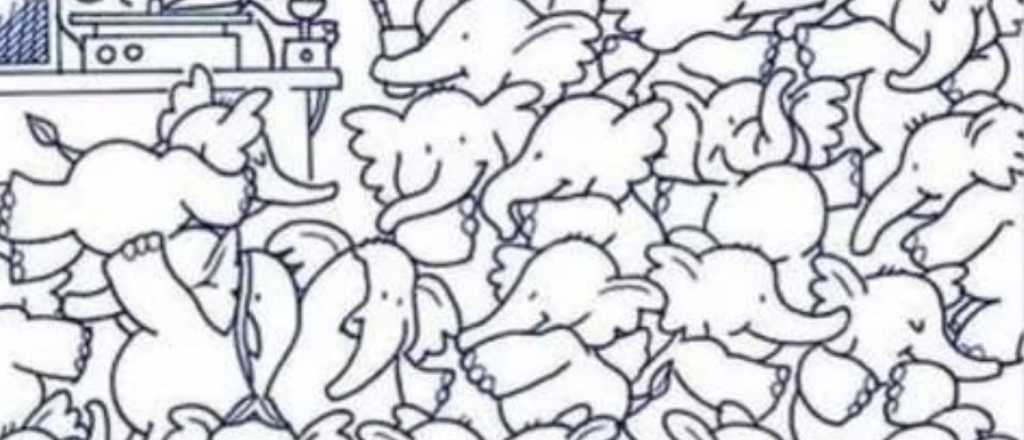 ¡Solo para habilidosos! ¿Dónde está la ballena oculta?