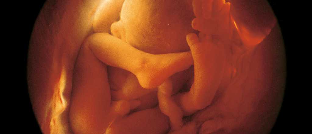 Aborto legal: un feto de 35 semanas sobrevivió y fue dado en adopción