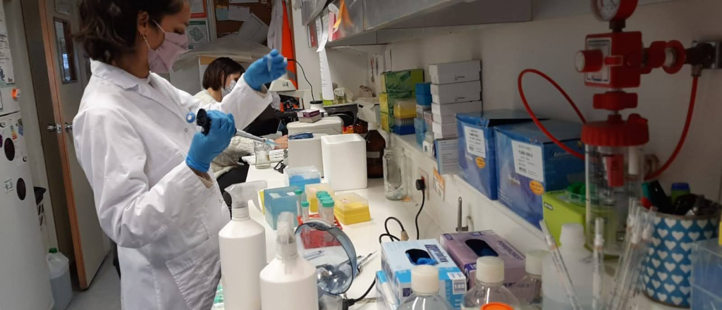 As&iacute; trabajan los cient&iacute;ficos del CONICET donde Milei quiere usar la "motosierra"