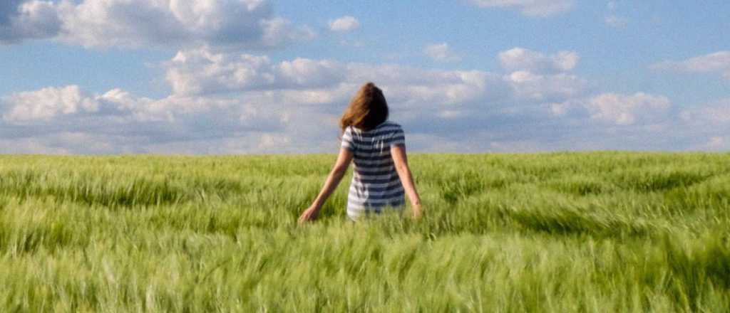 Horóscopo de hoy: qué espera cada signo para este sábado 26