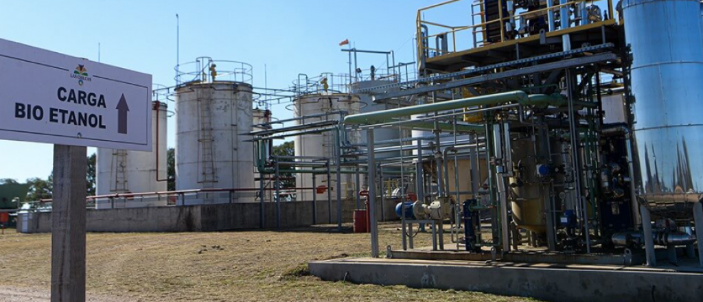 Aument&oacute; el Bioetanol y tiene distinto precio el de ma&iacute;z que el de ca&ntilde;a