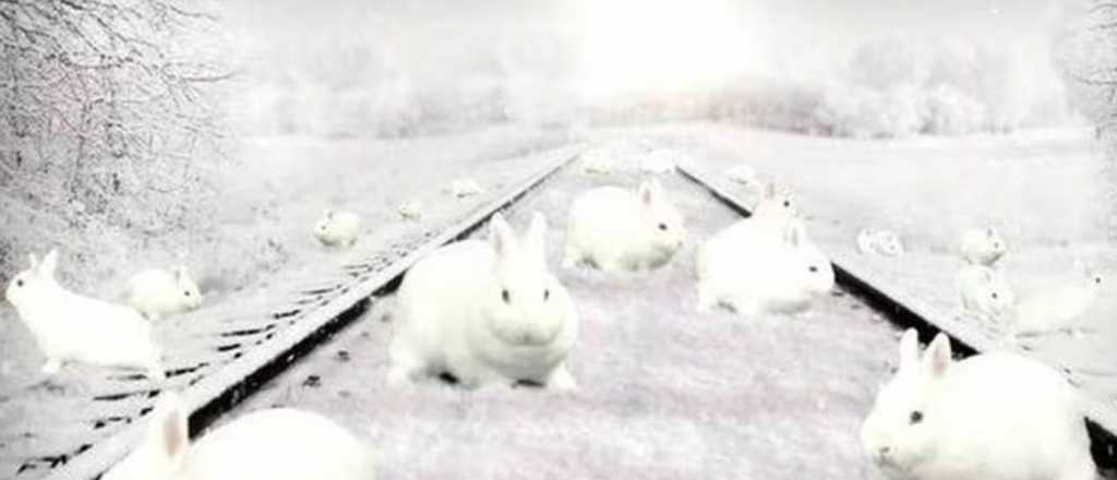 Desaf&iacute;o mental: &iquest;Cu&aacute;ntos conejos aparecen en esta imagen?