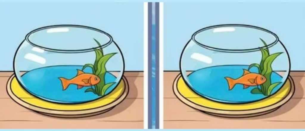 Prueba visual: &iquest;Cu&aacute;les son las 3 diferencias de la imagen?