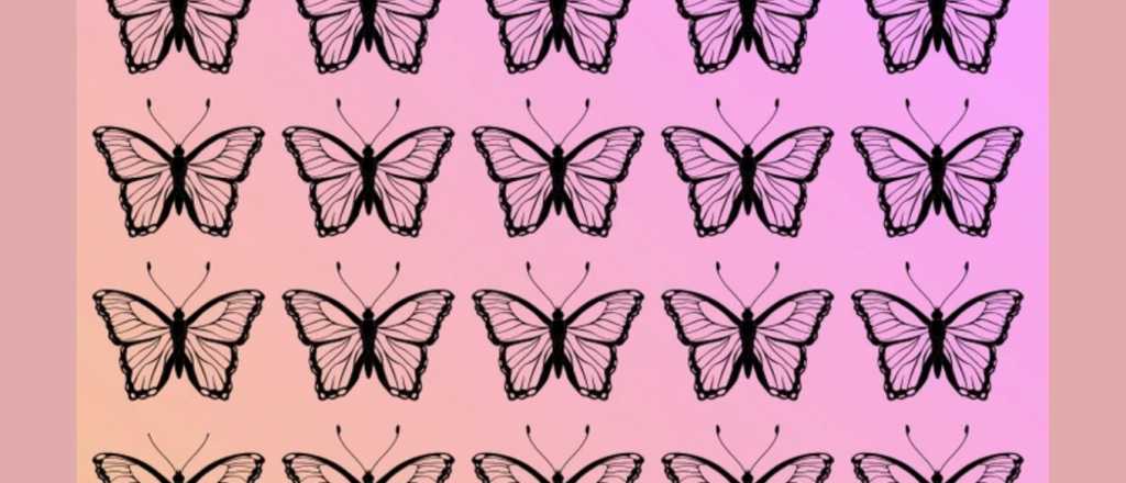 Acertijo visual: &iquest;Cu&aacute;l es la silueta diferente?