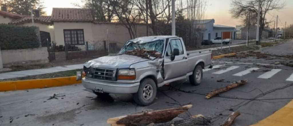 Tupungato: el Zonda derribó un árbol que aplastó una camioneta