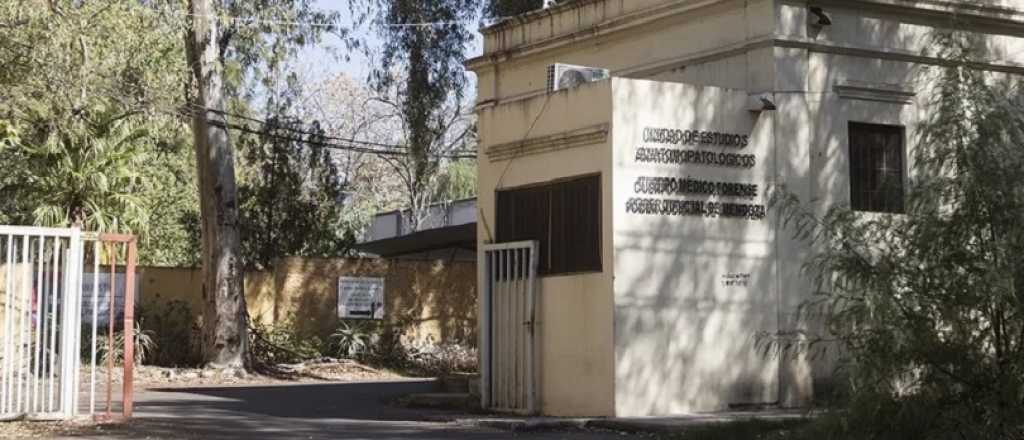 Cremaci&oacute;n por error de la beb&eacute; asesinada: renunci&oacute; el jefe de los forenses
