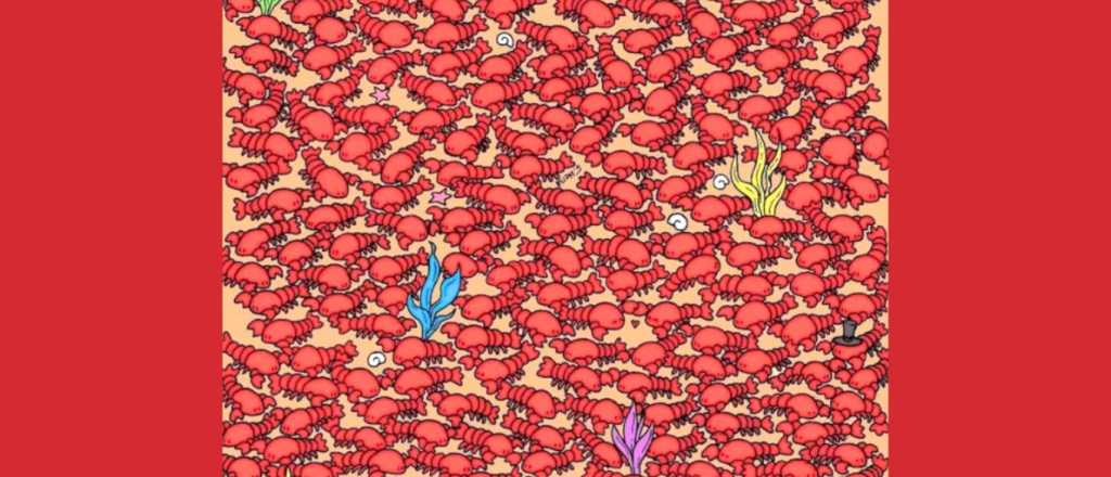 Acertijo visual: ¿podrás encontrar los cangrejos ocultos?