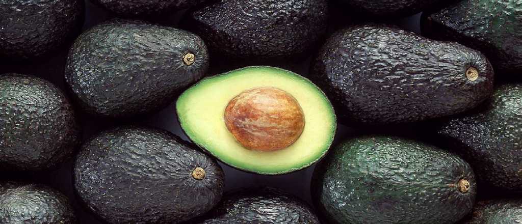 El truco casero más efectivo para conservar paltas y evitar que se pongan negras