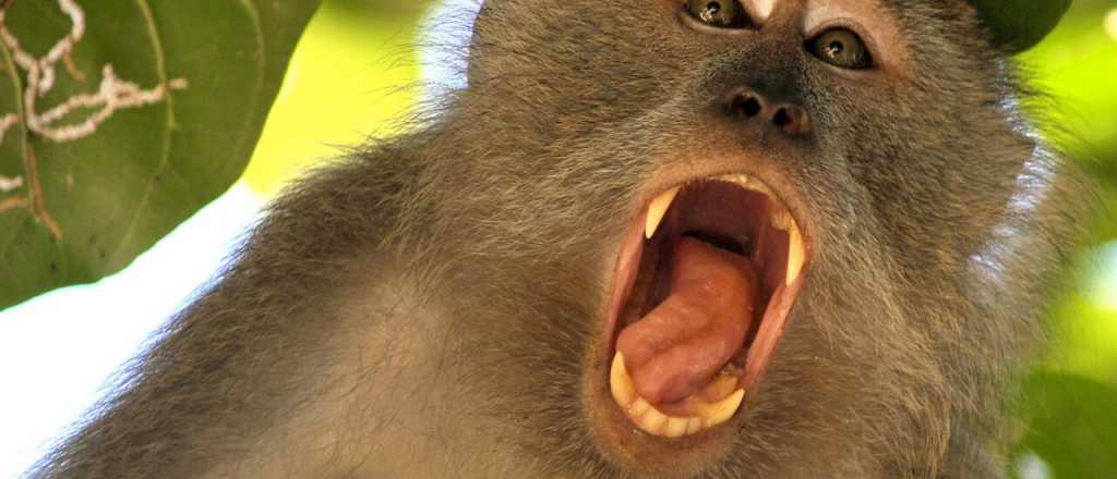 Sida: el misterio sin resolver del paciente cero