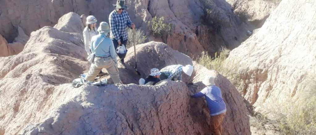 Increíble hallazgo de restos huarpes en Maipú