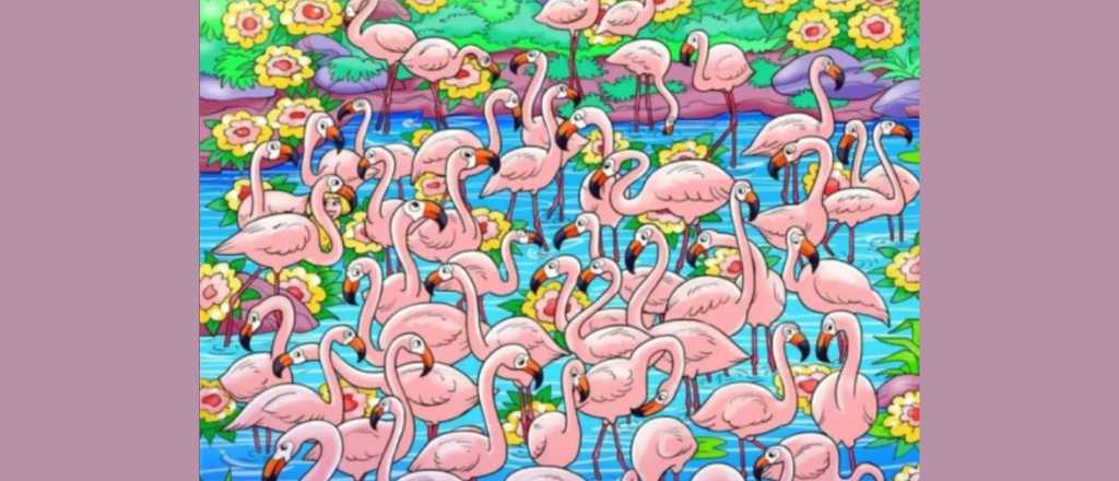 Acertijo visual: ¿En dónde se oculta la mujer?