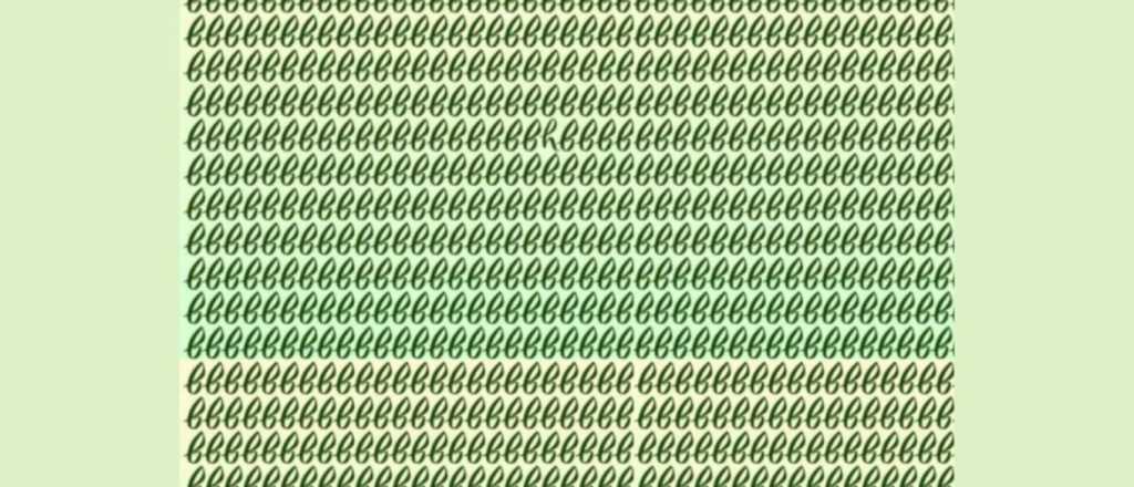 Desaf&iacute;o visual: &iquest;D&oacute;nde se encuentra la letra diferente?