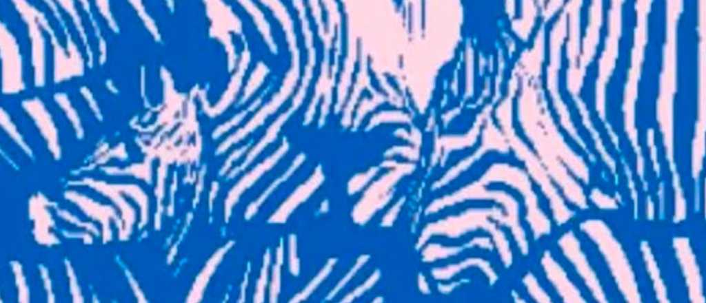 Test de personalidad &iquest;Ves en la imagen a un le&oacute;n o dos cebras? 