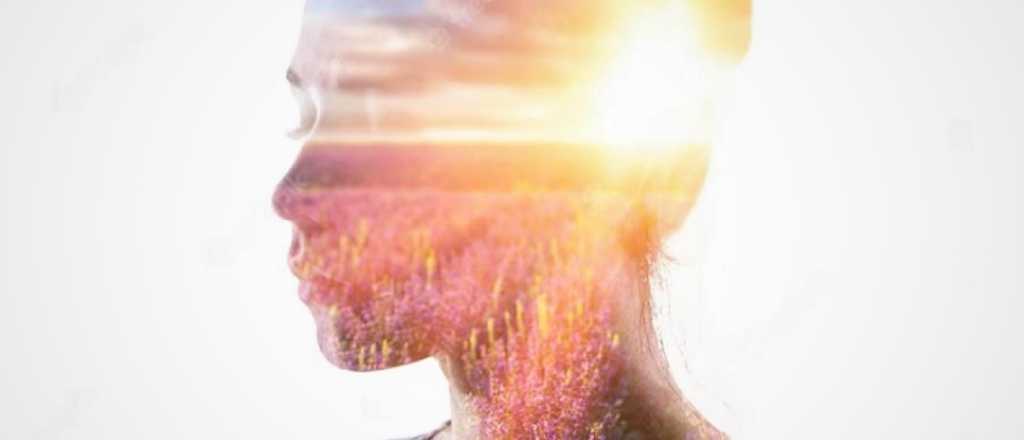 Investigaci&oacute;n sobre Mindfulness, sus beneficios y los cambios en el cerebro