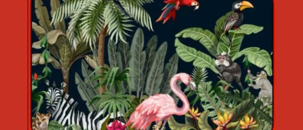 &iexcl;Solo para genios! &iquest;Pod&eacute;s encontrar el cocodrilo de la imagen?