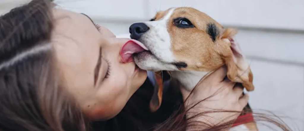¿Por qué tu perro te lame?