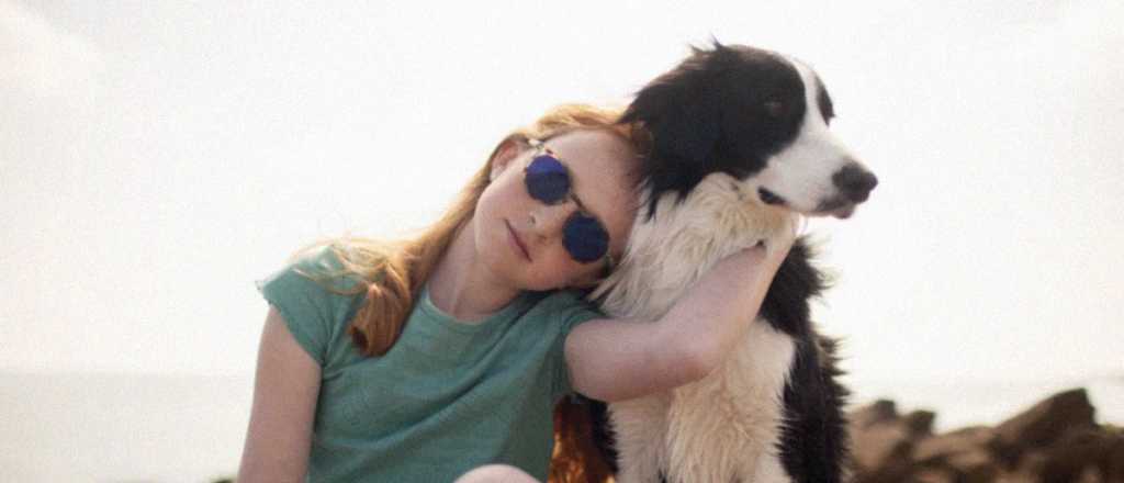 Hor&oacute;scopo de hoy: qu&eacute; espera cada signo para este s&aacute;bado 23