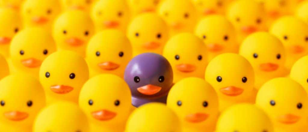 &iquest;Cu&aacute;les son los tres signos m&aacute;s llamativos y carism&aacute;ticos?