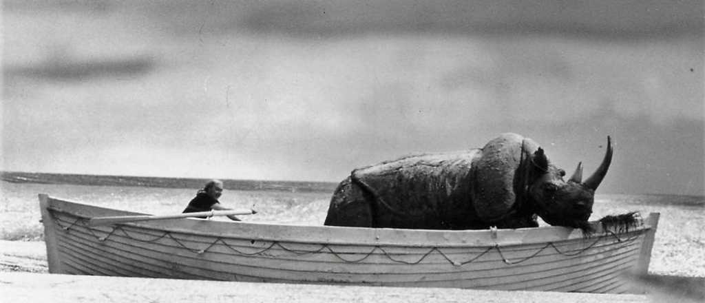 Crónicas del subsuelo: Pitos y matracas