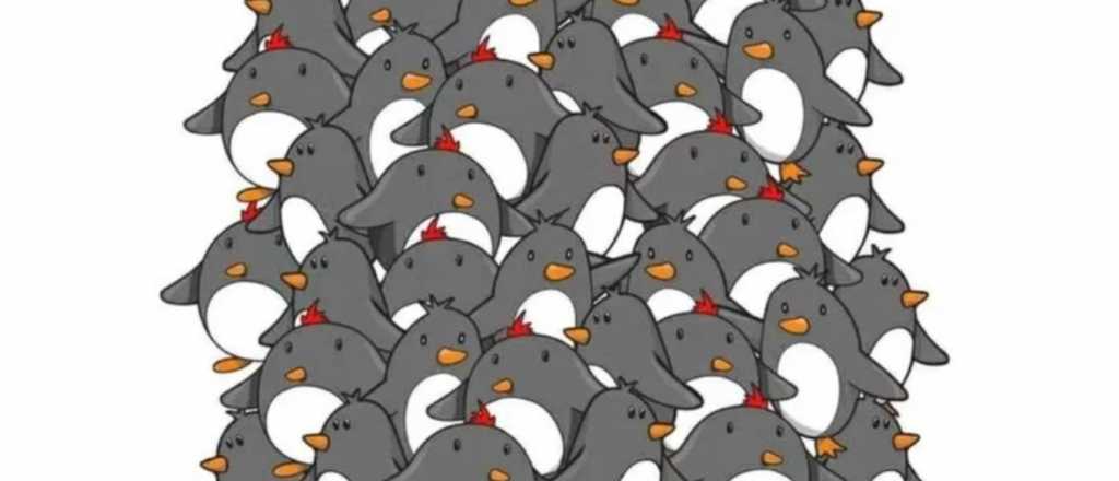 Prueba visual: s&oacute;lo tendr&aacute;s 10 segundos para encontrar al ping&uuml;ino sin pico