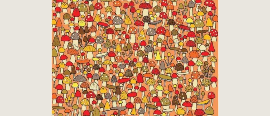 Acertijo visual: &iquest;En d&oacute;nde se oculta el rat&oacute;n?