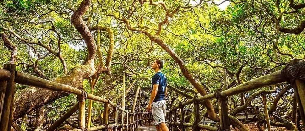 Horóscopo de hoy: qué esperan los signos para este jueves 28