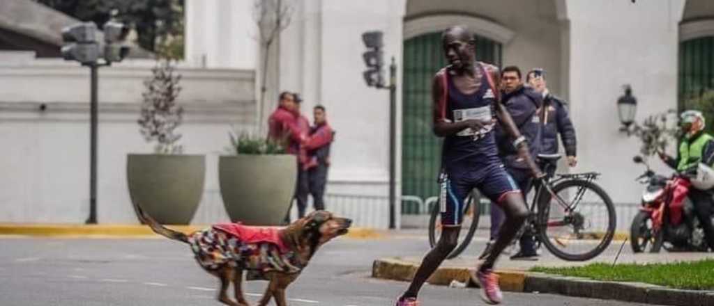 Escándalo: ganaba la maratón de Bs.As., pero lo atacó un perro y fue tercero