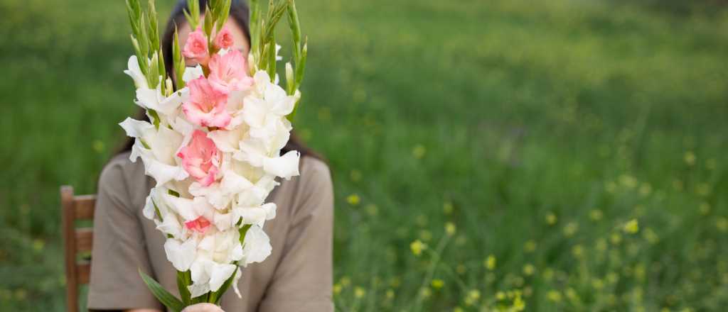 Las 5 bellezas de los bulbos de primavera y cómo cuidarlos