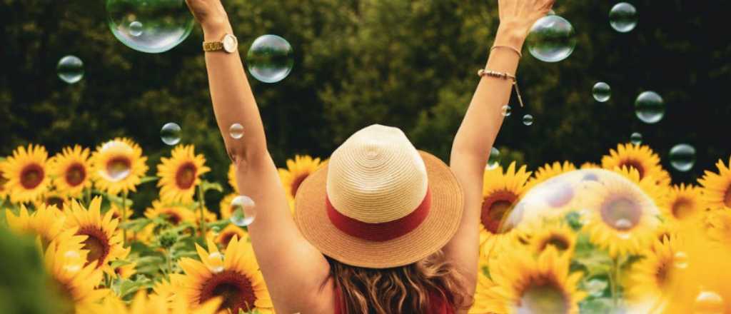 El &uacute;ltimo mes del a&ntilde;o le permitir&aacute; cumplir grandes sue&ntilde;os a tres signos