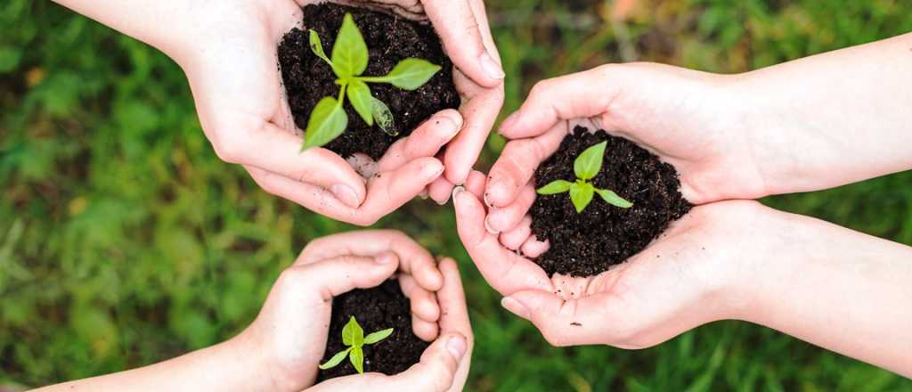 Cambio clim&aacute;tico y un aporte cient&iacute;fico clave desde Mendoza