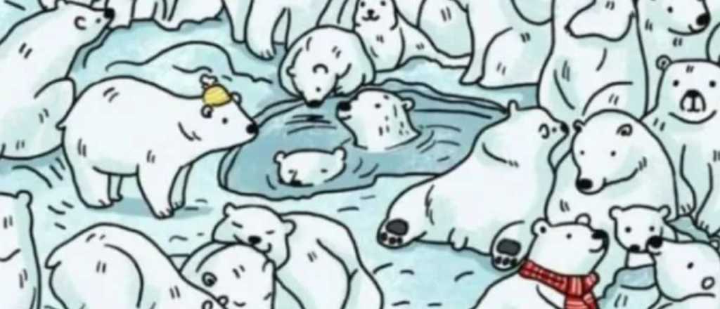 Acertijo visual: ¿Podrás hallar a la foca oculta en la imagen?